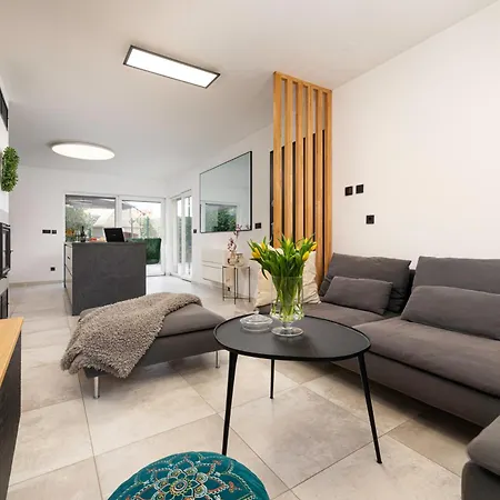 The Olive Tree * מאלינסקה