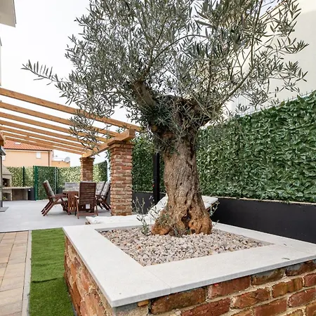 The Olive Tree Apartament *