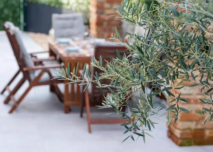 アパート The Olive Tree *