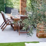 דירה The Olive Tree *