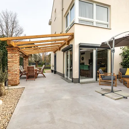 The Olive Tree
